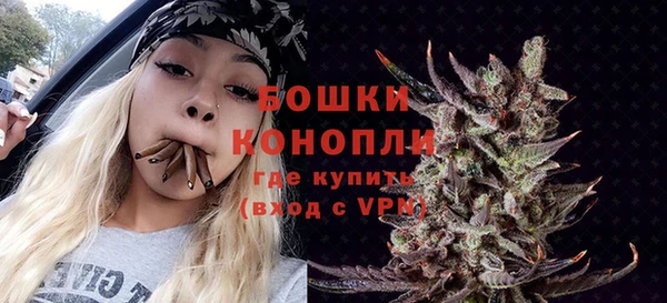 шишки Богданович