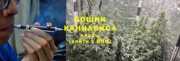 apvp Белокуриха