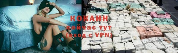 apvp Белокуриха