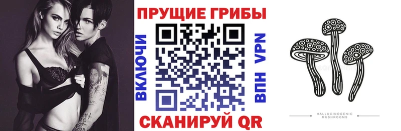 Галлюциногенные грибы GOLDEN TEACHER  Пикалёво 